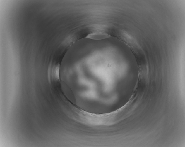 X0000111890047200907301206