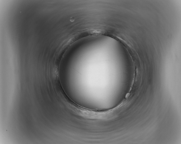 X0000111890048200907301206