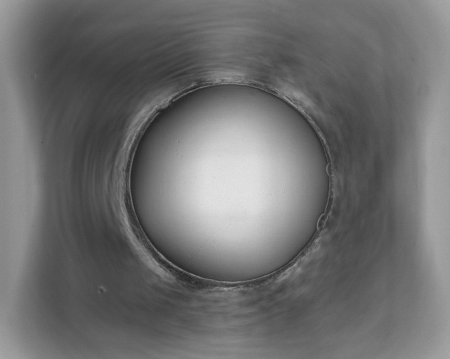 X0000111890049200907301206