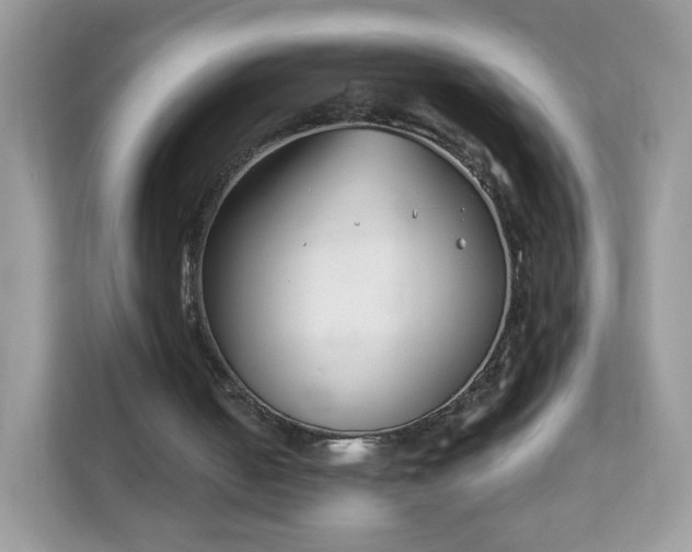 X0000111890050200907301206