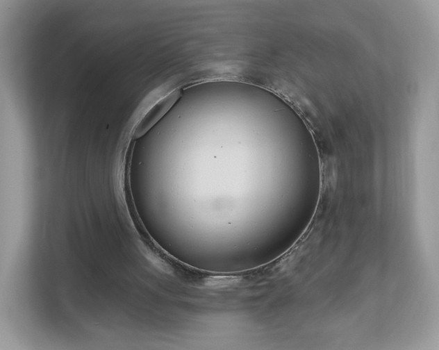 X0000111890051200907301206