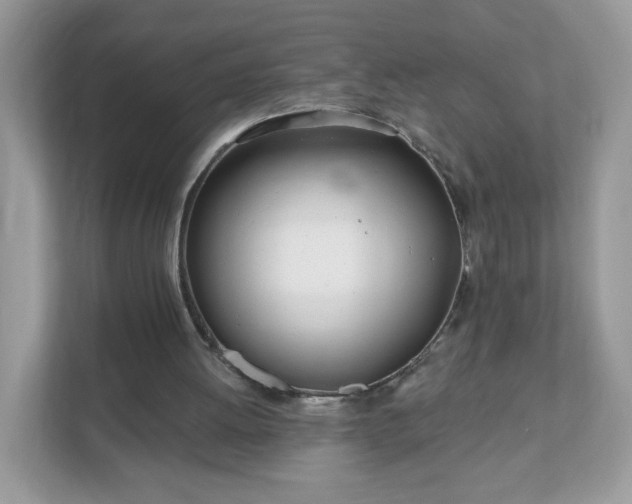 X0000111890052200907301206