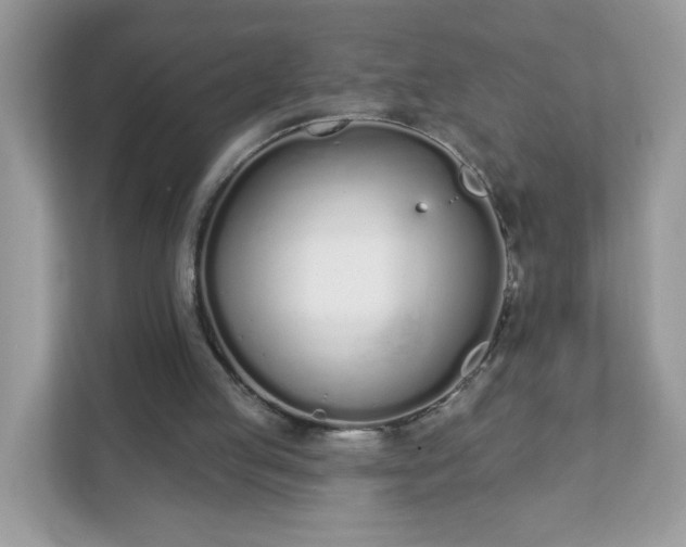 X0000111890053200907301206