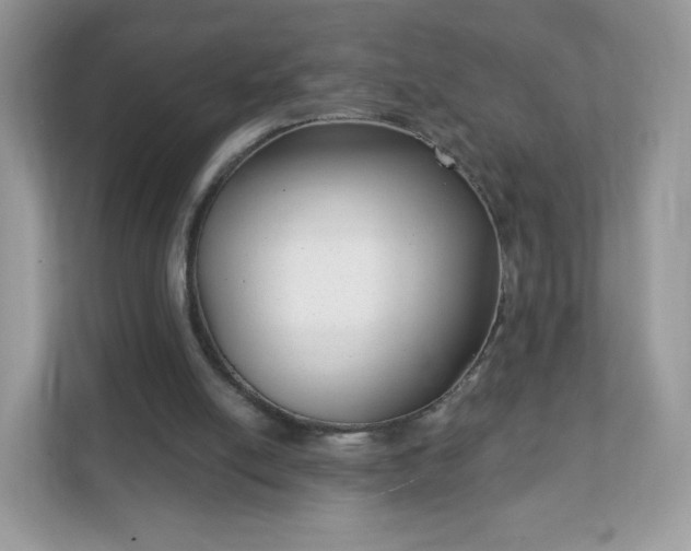 X0000111890054200907301206