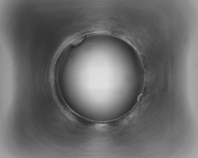 X0000111890055200907301206