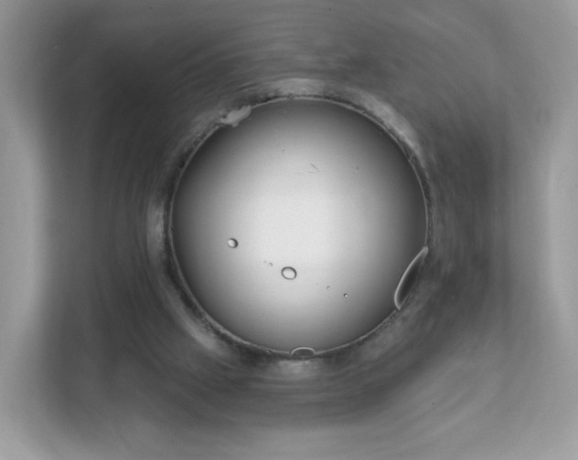 X0000111890057200907301206