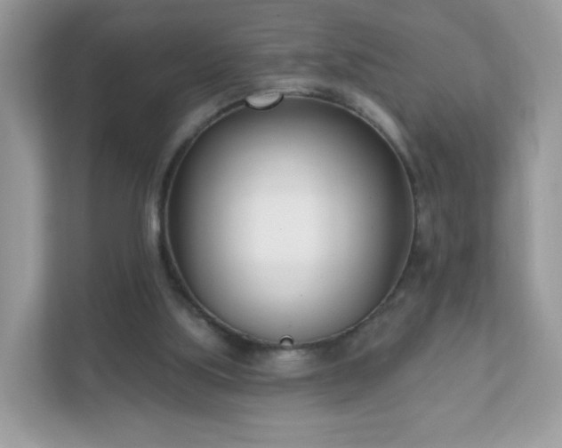 X0000111890059200907301206