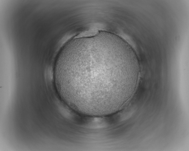 X0000111890060200907301206