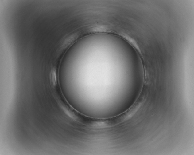 X0000111890061200907301206