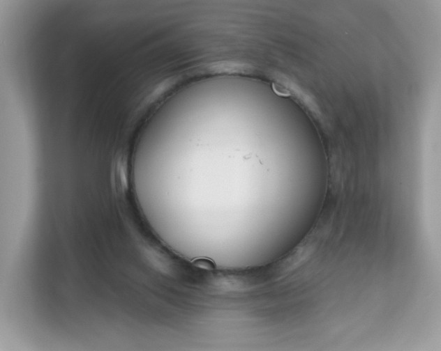 X0000111890062200907301206