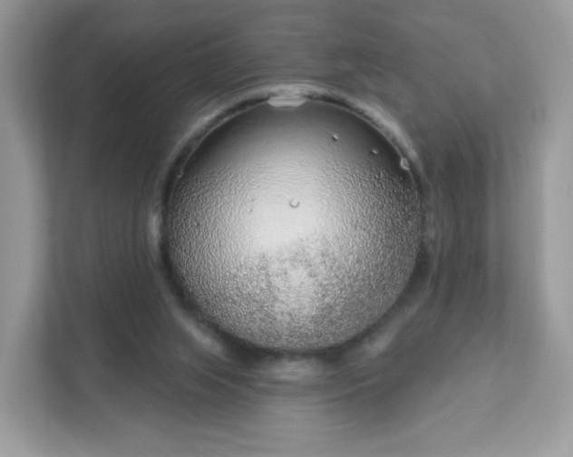 X0000111890063200907301206