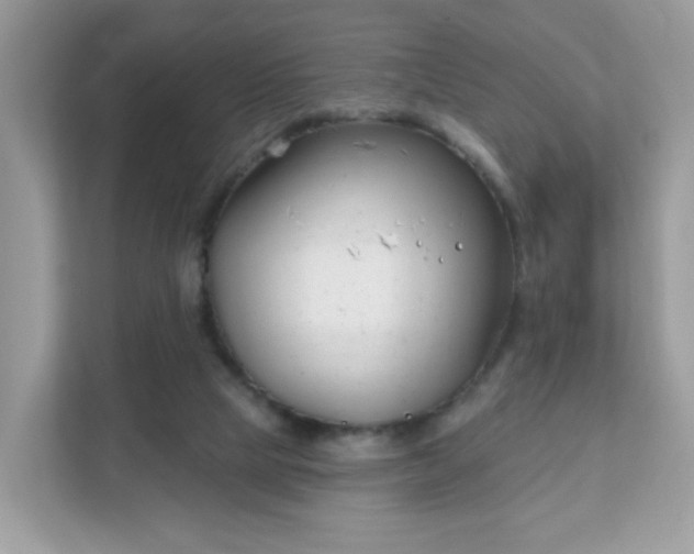 X0000111890065200907301206