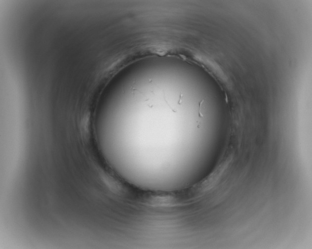 X0000111890066200907301206