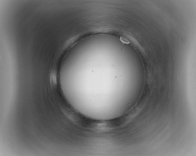 X0000111890068200907301206