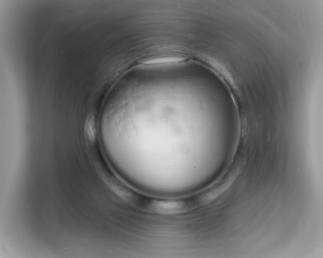 X0000111890069200907301206