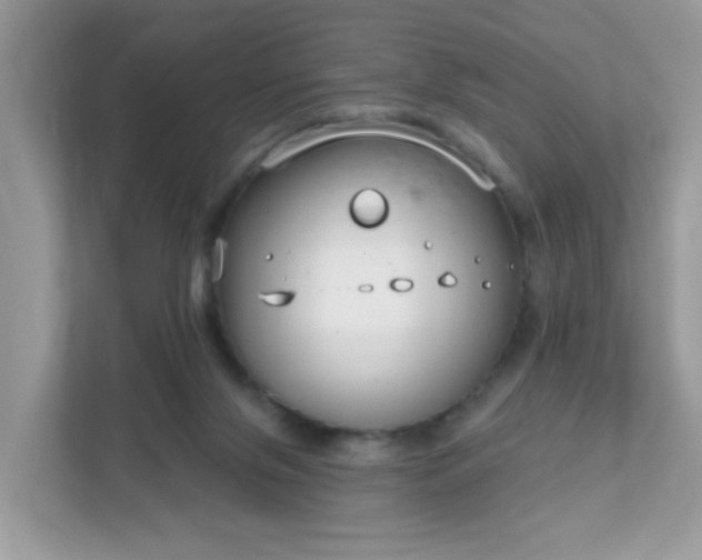 X0000111890071200907301206