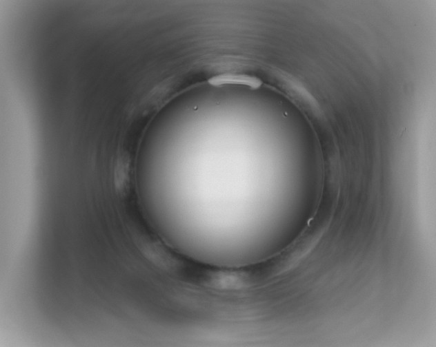 X0000111890073200907301206