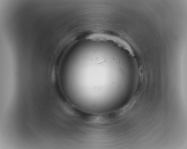 X0000111890074200907301206