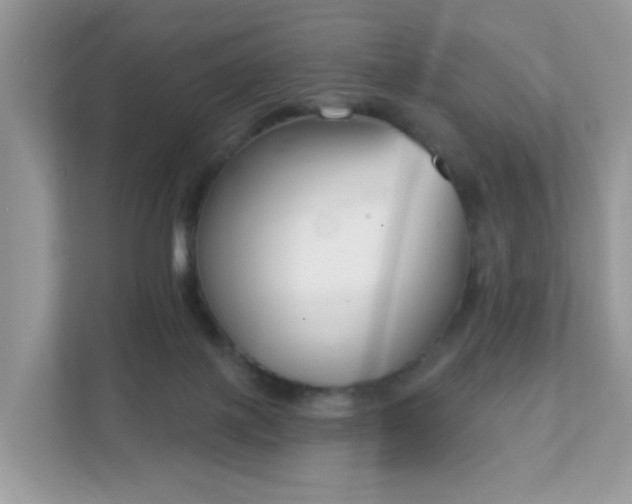 X0000111890075200907301206