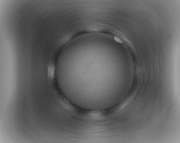 X0000111890076200907301206