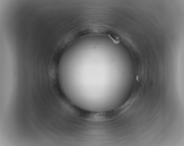 X0000111890078200907301206