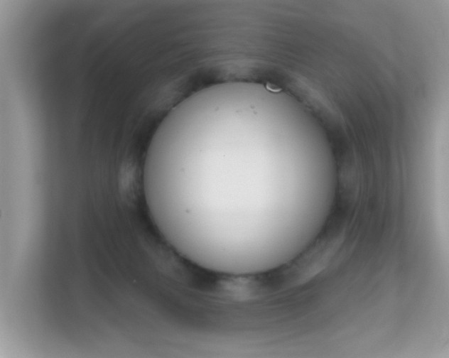 X0000111890079200907301206