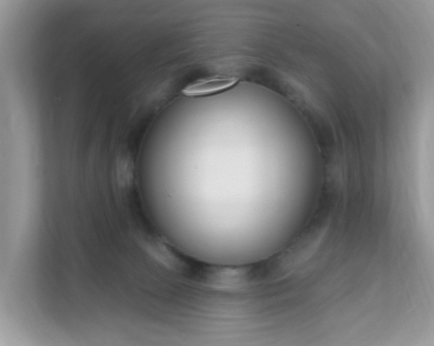 X0000111890081200907301206