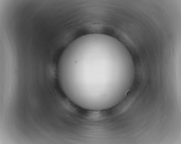 X0000111890083200907301206