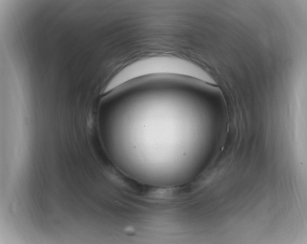 X0000111890084200907301206