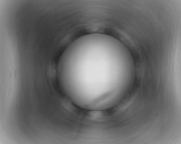 X0000111890085200907301206