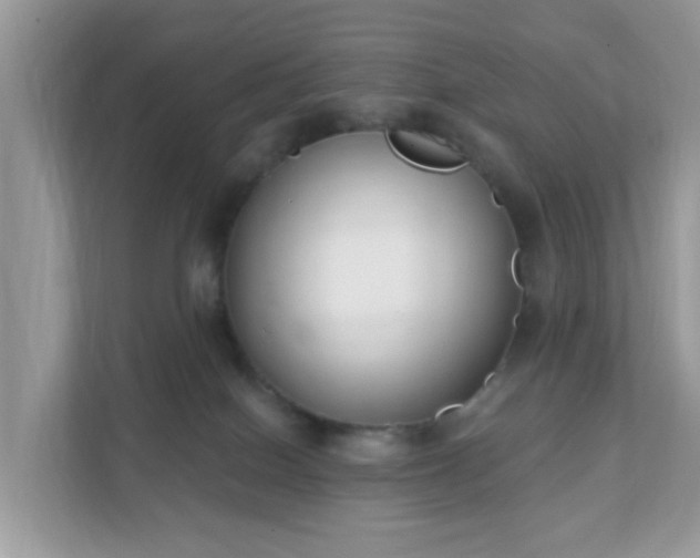 X0000111890086200907301206