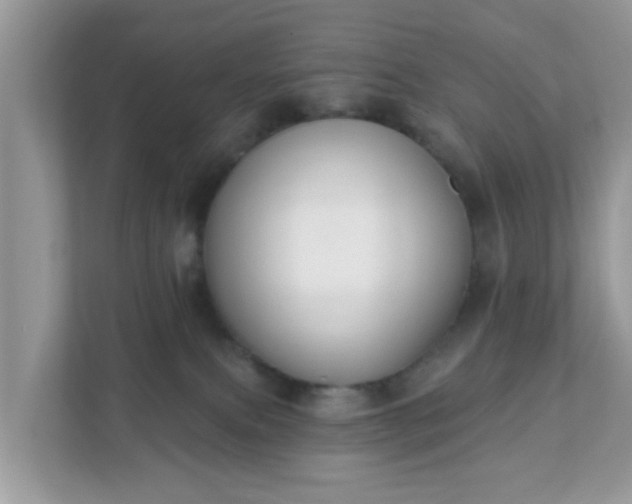 X0000111890087200907301206