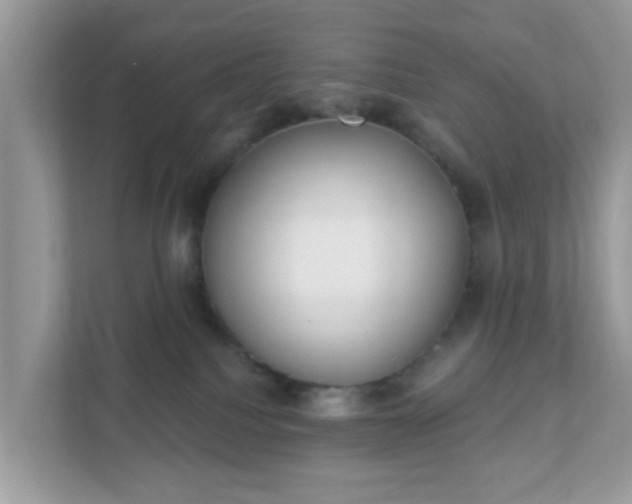 X0000111890088200907301206