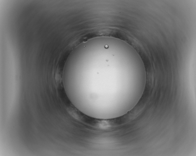 X0000111890091200907301206