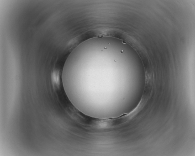 X0000111890094200907301206