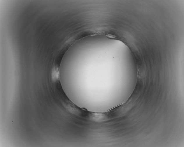 X0000111890095200907301206