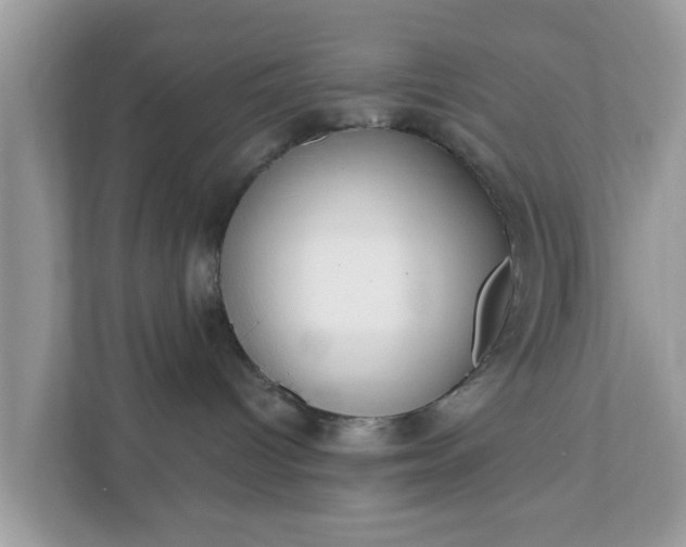 X0000111890096200907301206