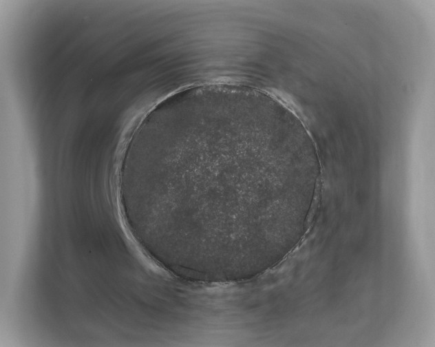 X0000111890097200907301206