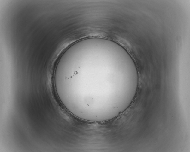 X0000111890098200907301206