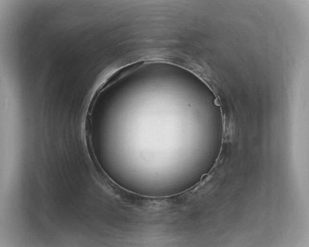 X0000111890099200907301206