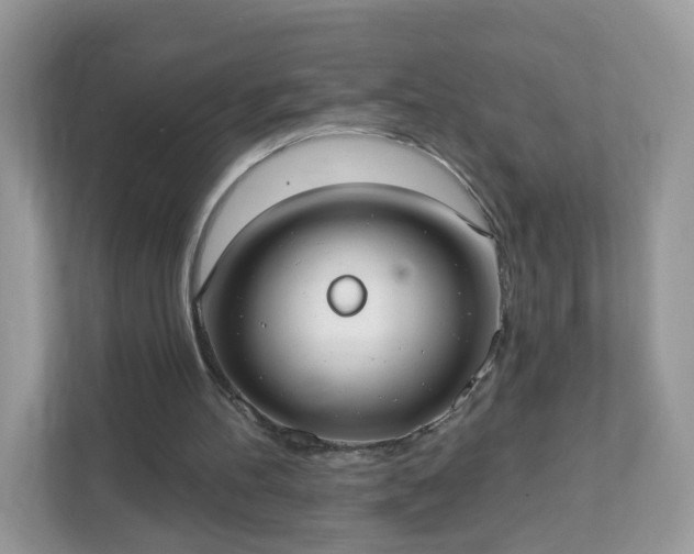 X0000111890100200907301206