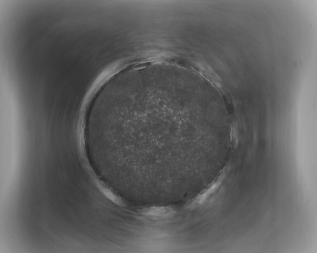 X0000111890101200907301206