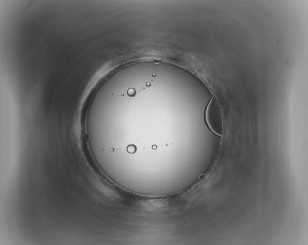 X0000111890102200907301206