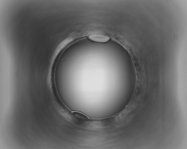 X0000111890104200907301206