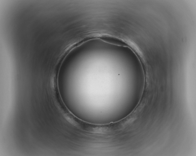 X0000111890105200907301206