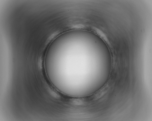 X0000111890106200907301205