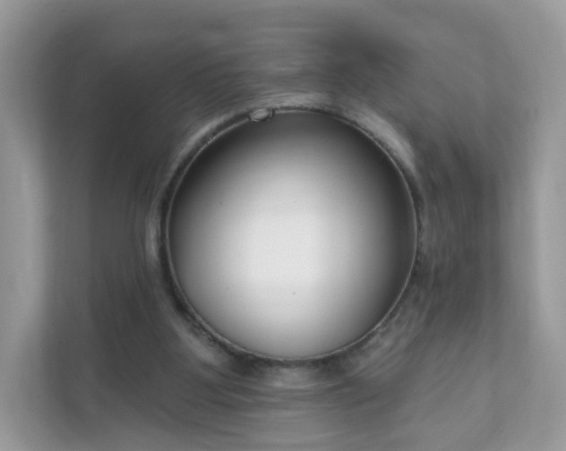 X0000111890107200907301205