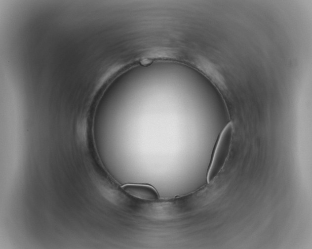 X0000111890108200907301205