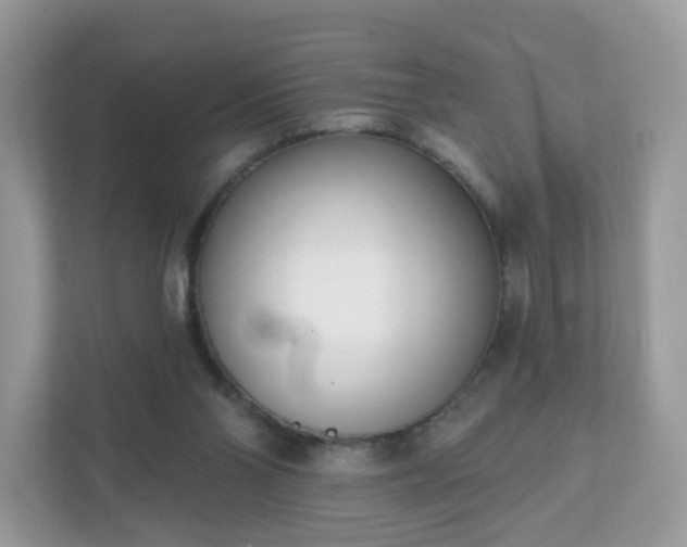 X0000111890110200907301205