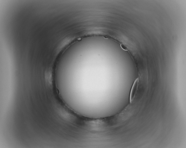 X0000111890112200907301205